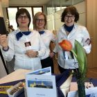 Heiserv Heinke-Schoelling, Block, Baum.JPG